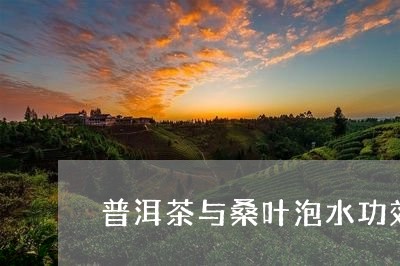 普洱茶与桑叶泡水功效一样吗/2023052870595