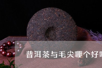 普洱茶与毛尖哪个好喝/2023080358694