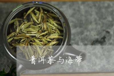 普洱茶与海带/2023042611653