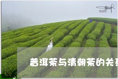 普洱茶与清朝茶的关系/2023080331794