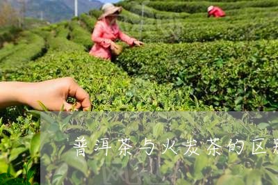 普洱茶与火炭茶的区别/2023080392039