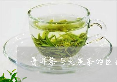 普洱茶与火炭茶的区别/2023100770927