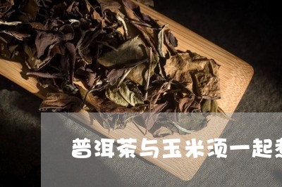 普洱茶与玉米须一起煮/2023092541804