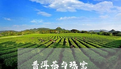 普洱茶与珠宝/2023042722442