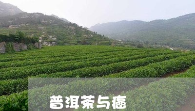 普洱茶与癌/2023090605359