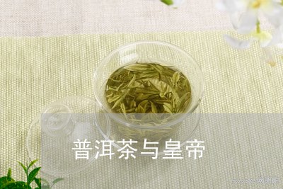 普洱茶与皇帝/2023042819850