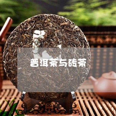 普洱茶与砖茶/2023042929849