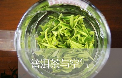 普洱茶与空气/2023042685103