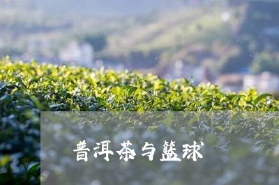 普洱茶与篮球/2023081898460