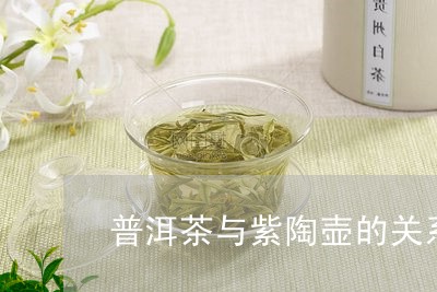 普洱茶与紫陶壶的关系/2023072392726