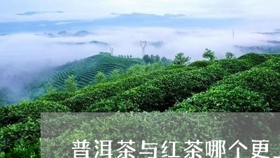 普洱茶与红茶哪个更上火/2023103136060