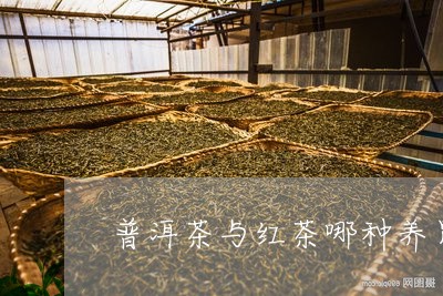 普洱茶与红茶哪种养胃/2023062363847