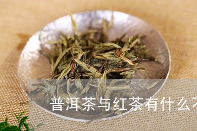 普洱茶与红茶有什么不同/2023122062816