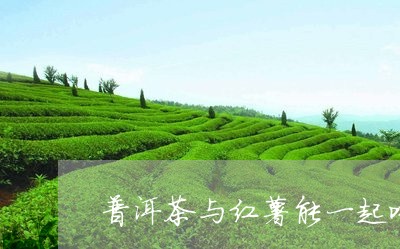 普洱茶与红薯能一起吃/2023092664926