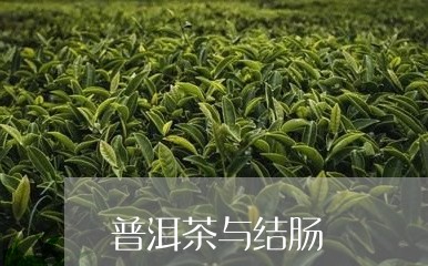 普洱茶与结肠/2023042875333