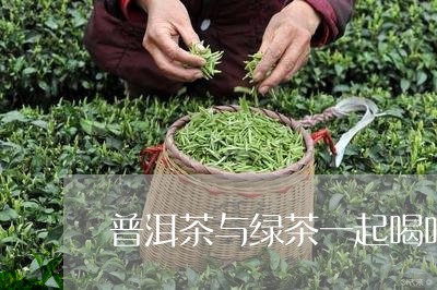 普洱茶与绿茶一起喝吗/2023072252815