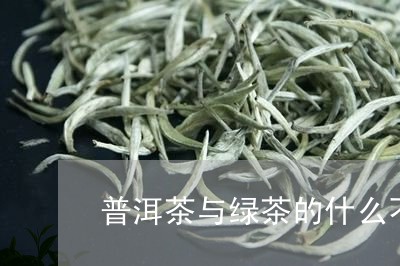 普洱茶与绿茶的什么不同/2023122081614