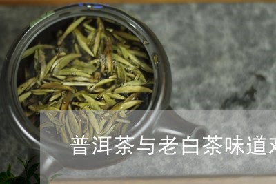 普洱茶与老白茶味道对比/2023082789471