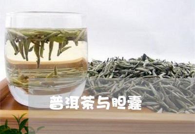 普洱茶与胆囊/2023042649439