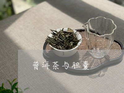 普洱茶与胆囊/2023091232806