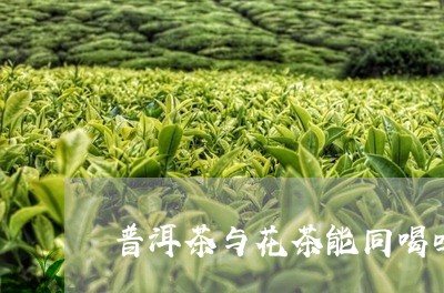 普洱茶与花茶能同喝吗/2023072470671