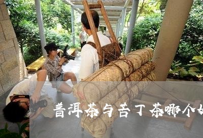 普洱茶与苦丁茶哪个好/2023080137491