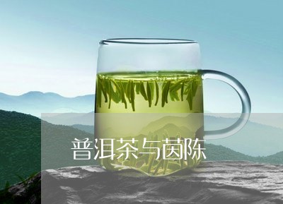 普洱茶与茵陈/2023042886746