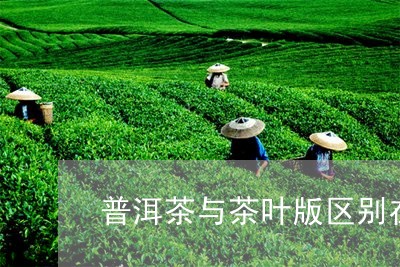 普洱茶与茶叶版区别在哪/2023121627571