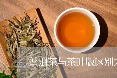 普洱茶与茶叶版区别大吗/2023110650263