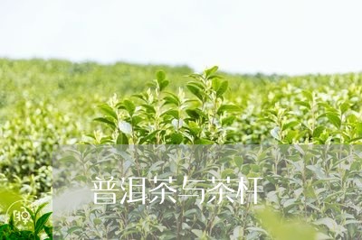 普洱茶与茶杆/2023042822773