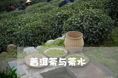 普洱茶与茶水/2023042752497