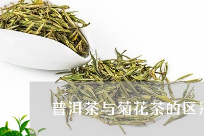 普洱茶与菊花茶的区别/2023072228482