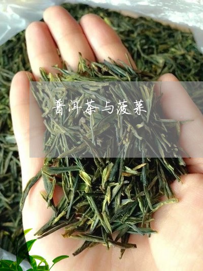 普洱茶与菠菜/2023042797063