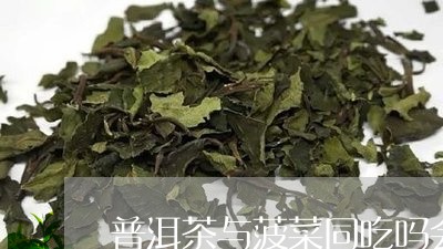 普洱茶与菠菜同吃吗会中毒吗/2023052903148