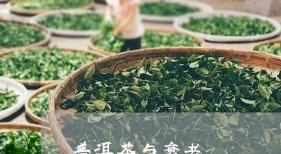 普洱茶与衰老/2023081585179