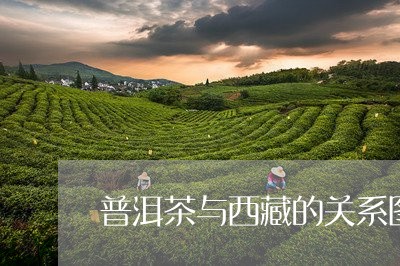 普洱茶与西藏的关系图解/2023120744627