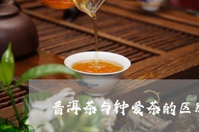 普洱茶与钟爱茶的区别/2023080311504