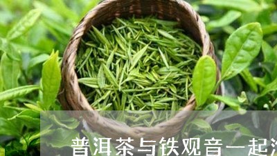 普洱茶与铁观音一起泡/2023092680395