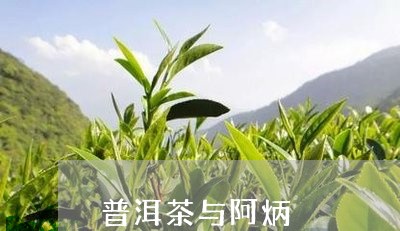 普洱茶与阿炳/2023042778958