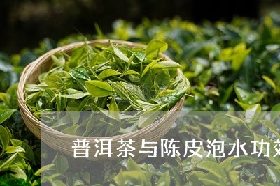 普洱茶与陈皮泡水功效/2023062551715