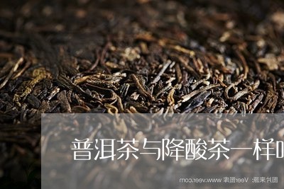 普洱茶与降酸茶一样吗/2023061979493