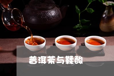 普洱茶与鞣酸/2023042860575