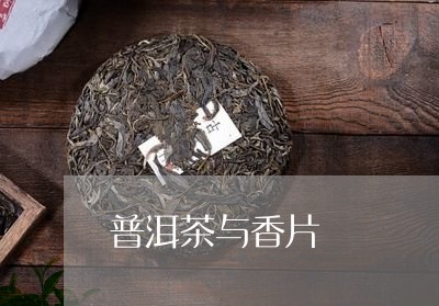 普洱茶与香片/2023042979979