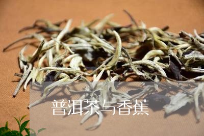 普洱茶与香蕉/2023042889614