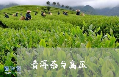 普洱茶与高压/2023042681262