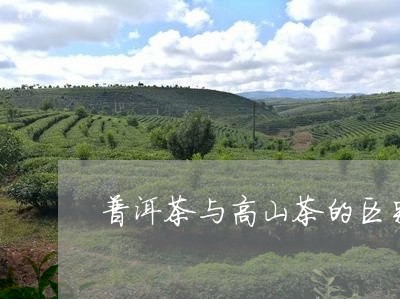 普洱茶与高山茶的区别在哪里/2023102503808