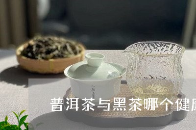 普洱茶与黑茶哪个健康/2023100769694