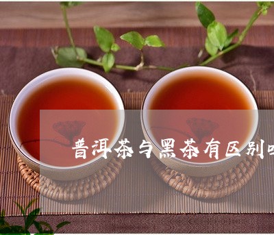 普洱茶与黑茶有区别吗/2023062317351