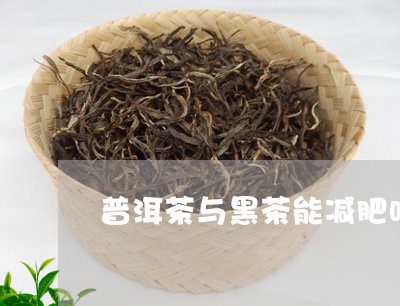 普洱茶与黑茶能减肥吗/2023062230628