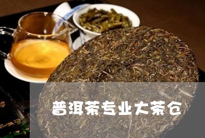 普洱茶专业大茶仓/2023081634726